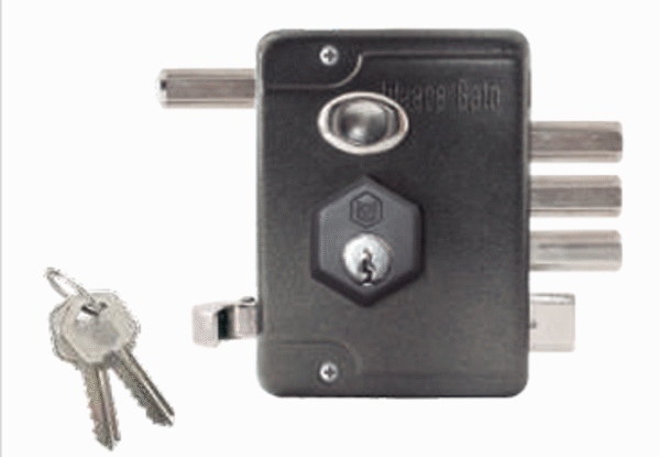 CERRADURA SOBREPONER 862 PROTECTORA AUT BRONCE