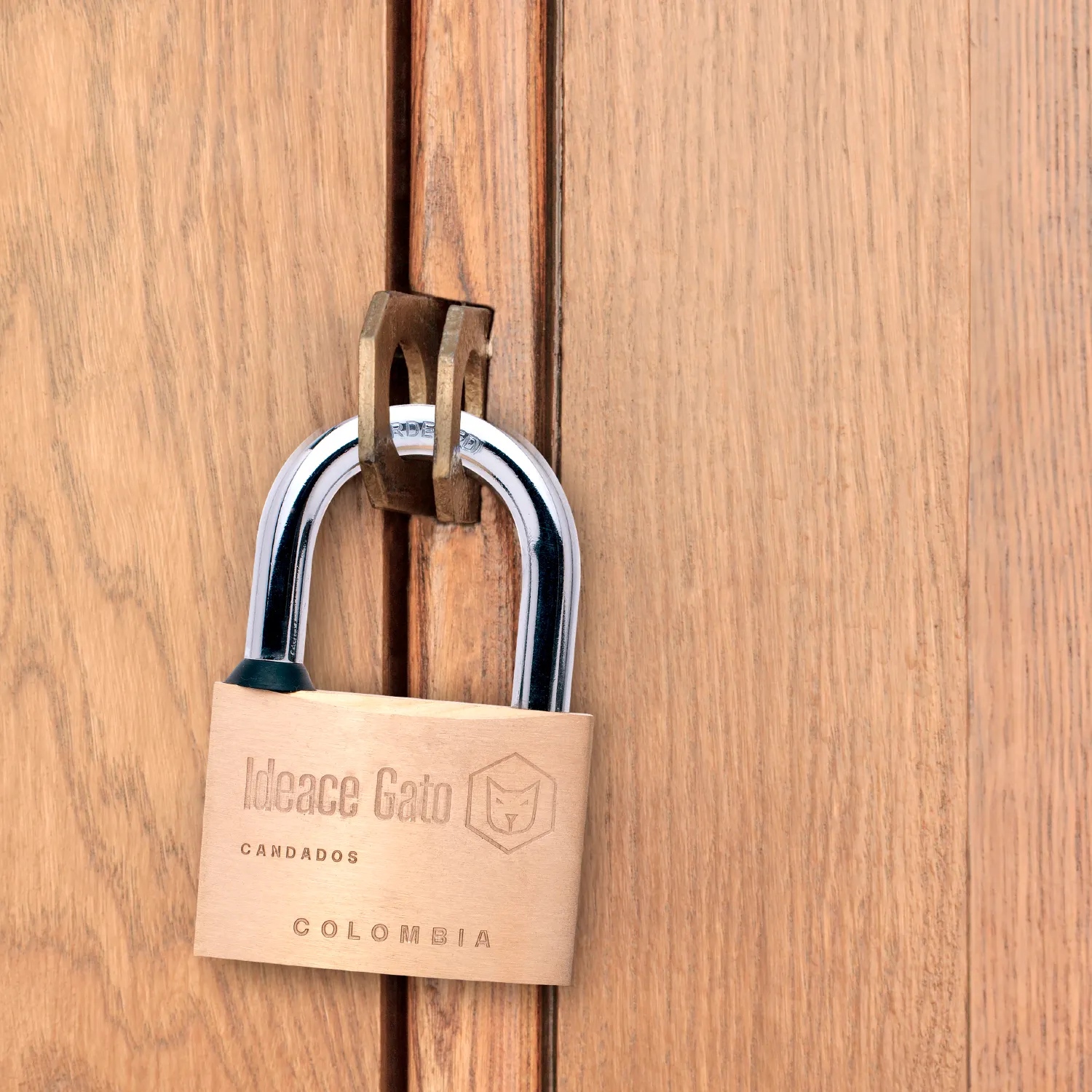 CANDADO DE LATON- IDEACE GATO 25MM - Imagen 2